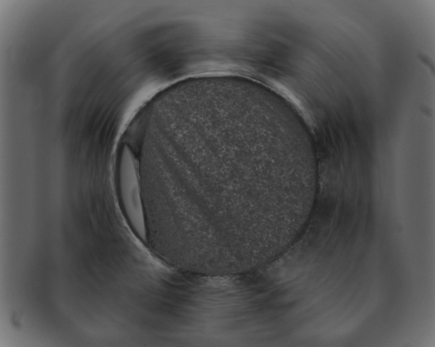 X0000091551472200709071205