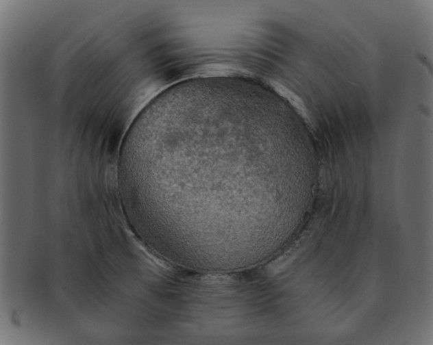 X0000091551473200709071205