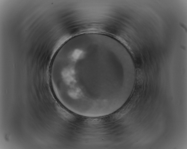 X0000091551474200709071205