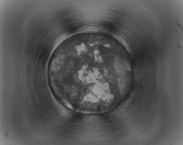 X0000091551475200709071205