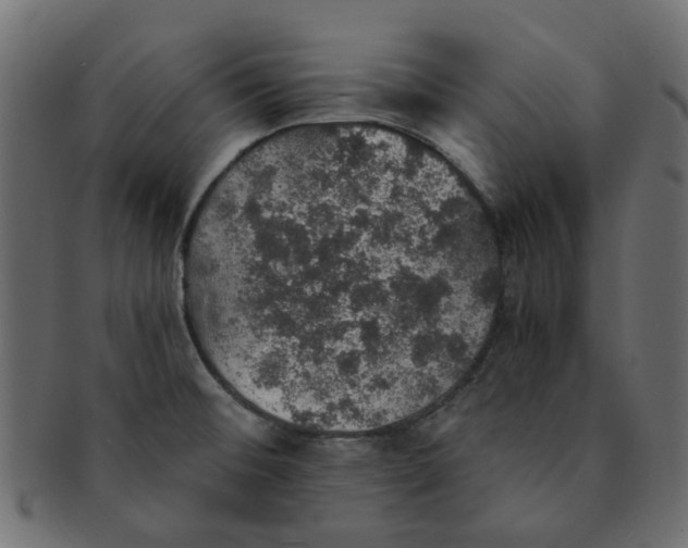 X0000091551476200709071205