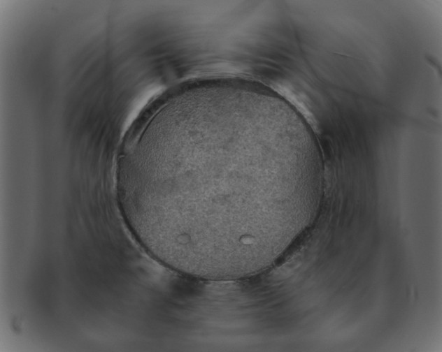 X0000091551477200709071205