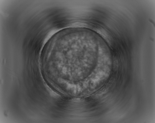 X0000091551478200709071205
