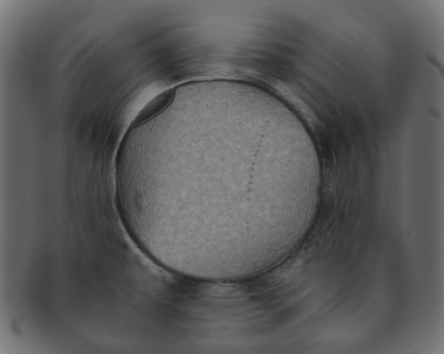 X0000091551479200709071205