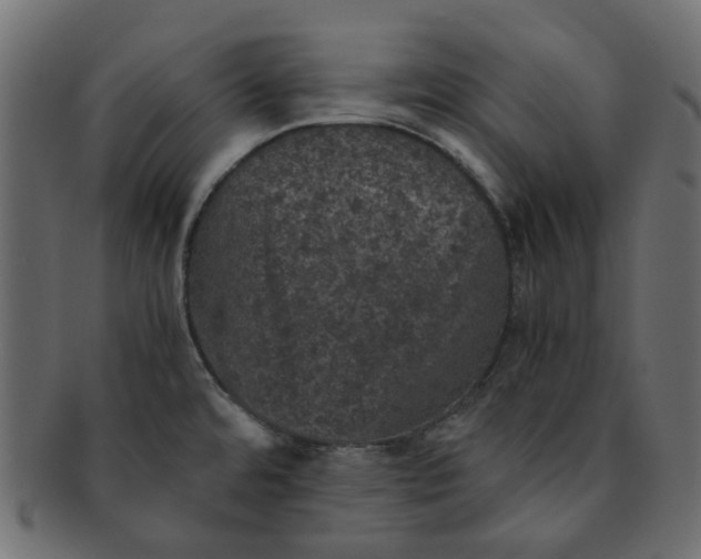 X0000091551480200709071205