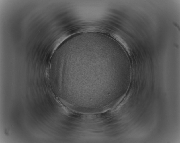X0000091551481200709071205
