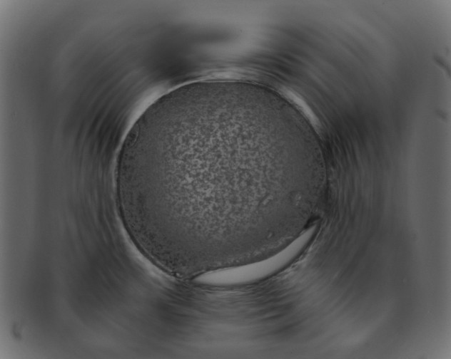 X0000091551483200709071205