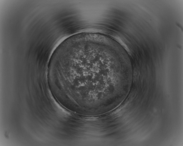 X0000091551484200709071205