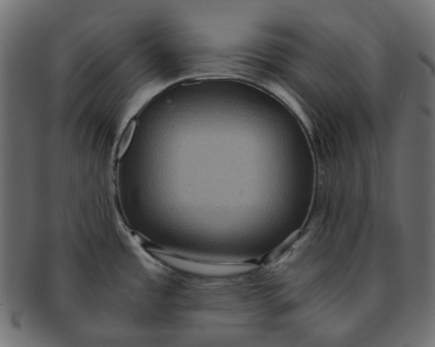 X0000091551485200709071205