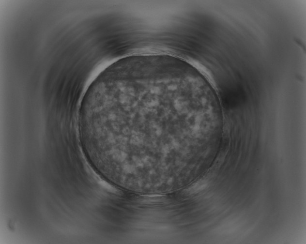 X0000091551486200709071205
