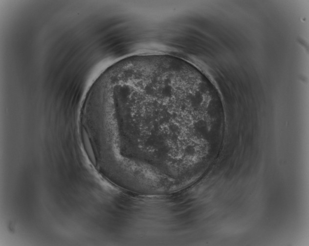 X0000091551488200709071204