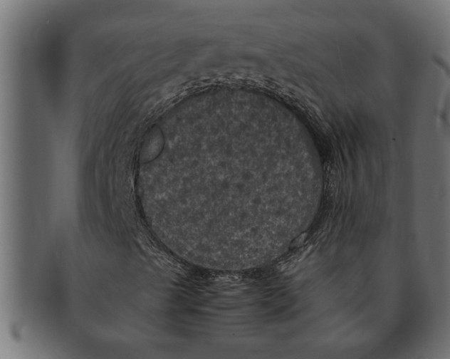 X0000091551489200709071204