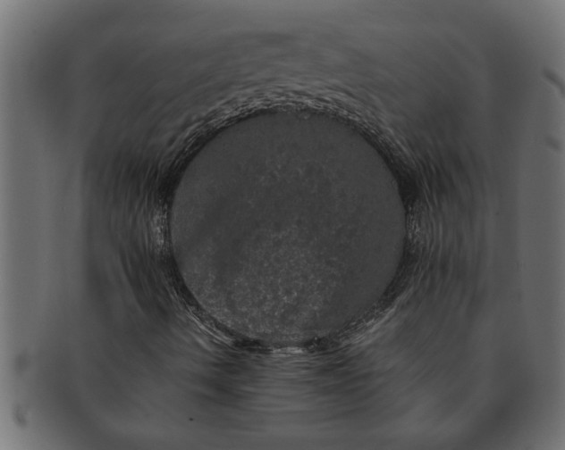 X0000091551490200709071204