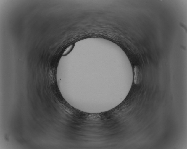 X0000091551491200709071204