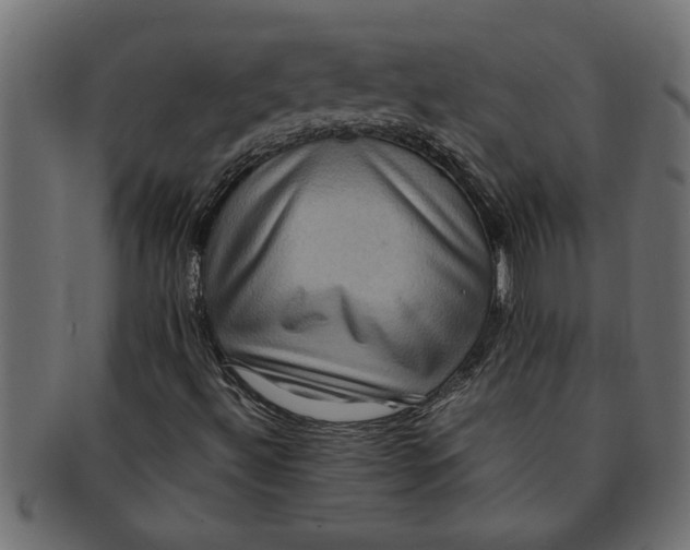 X0000091551492200709071204