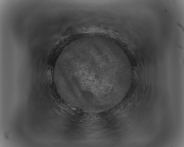 X0000091551493200709071204