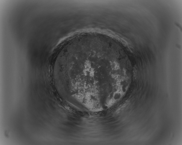 X0000091551494200709071204