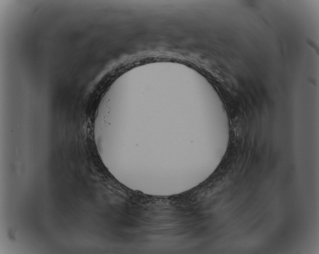 X0000091551495200709071204