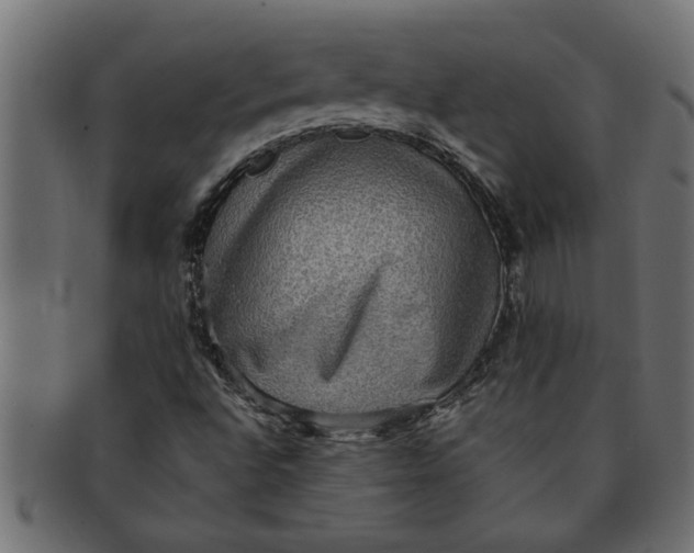 X0000091551496200709071204