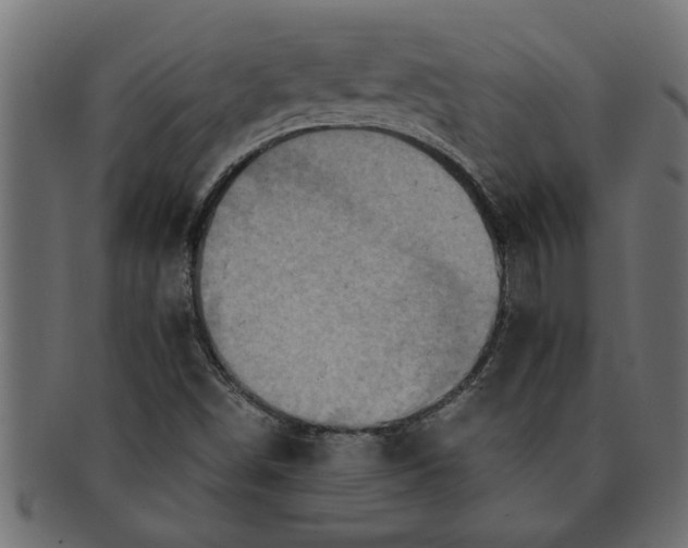 X0000091551498200709071204