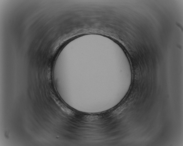 X0000091551499200709071204