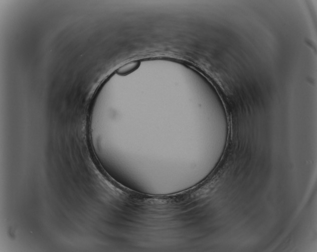 X0000091551500200709071204