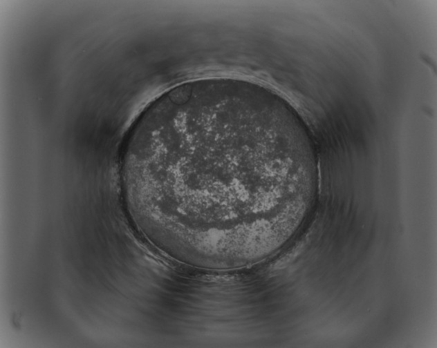 X0000091551501200709071204