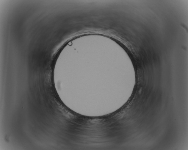 X0000091551502200709071204