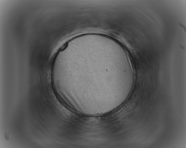 X0000091551504200709071204