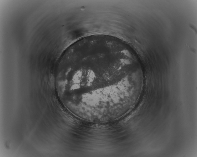 X0000091551505200709071204