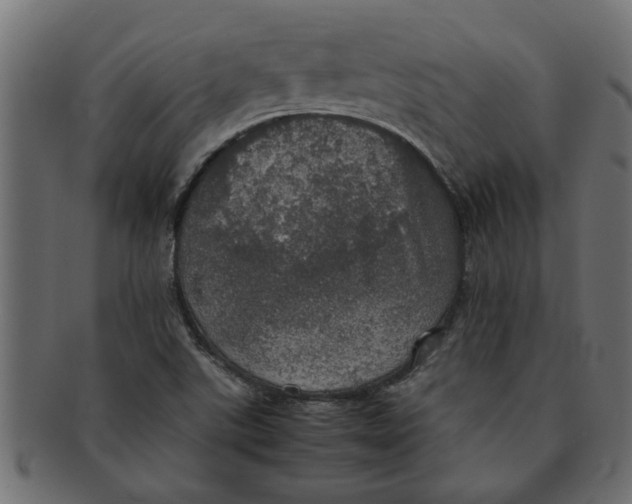 X0000091551507200709071204