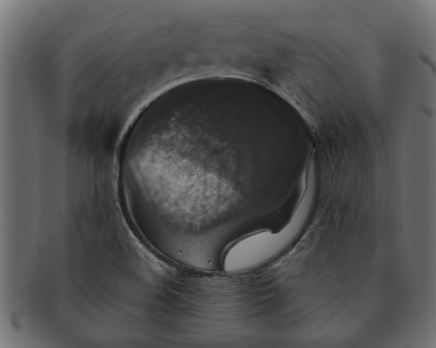 X0000091551508200709071204