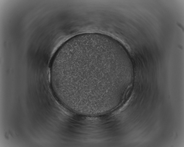 X0000091551509200709071204