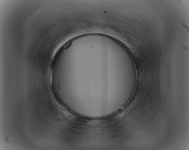 X0000091551510200709071204