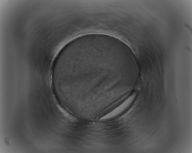 X0000091551511200709071204