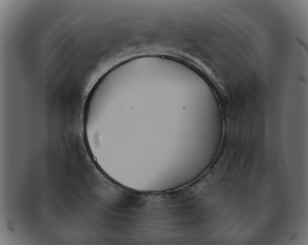 X0000091551512200709071204