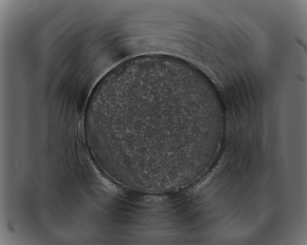 X0000091551513200709071204