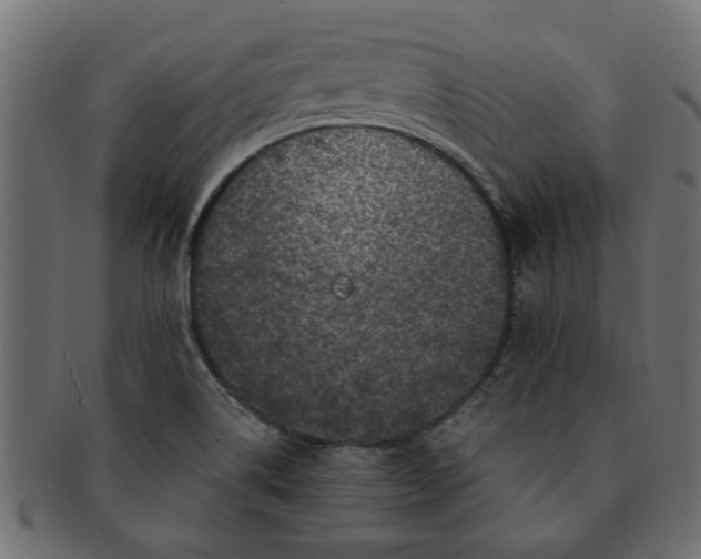 X0000091551514200709071204
