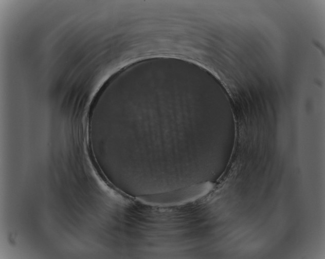 X0000091551515200709071204