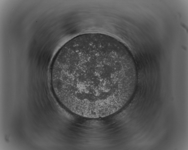 X0000091551517200709071204