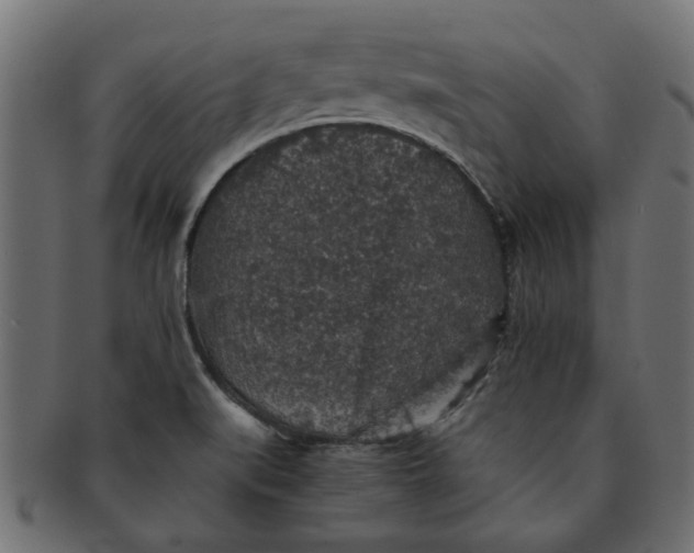 X0000091551519200709071204