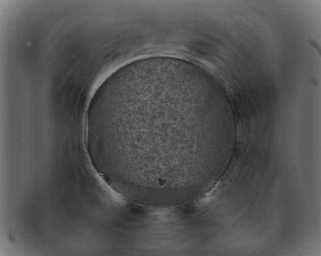 X0000091551520200709071204
