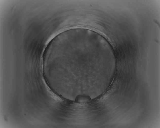 X0000091551522200709071204