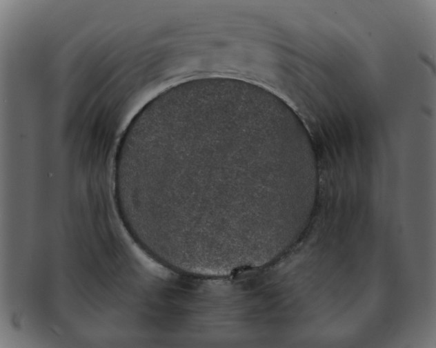 X0000091551523200709071204