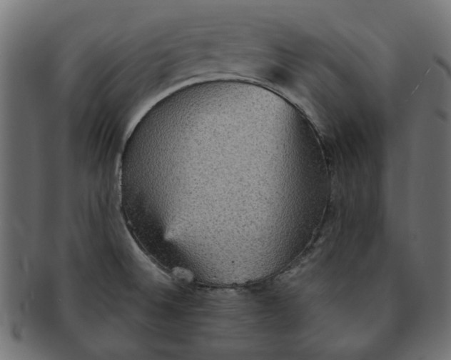 X0000091551524200709071204