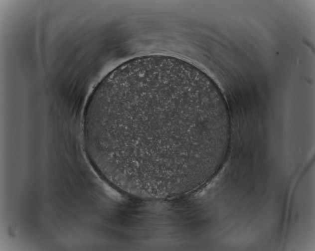 X0000091551525200709071204