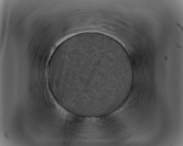 X0000091551526200709071204