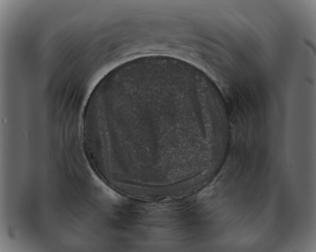 X0000091551527200709071204