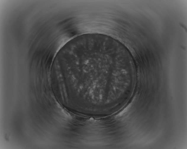 X0000091551529200709071204