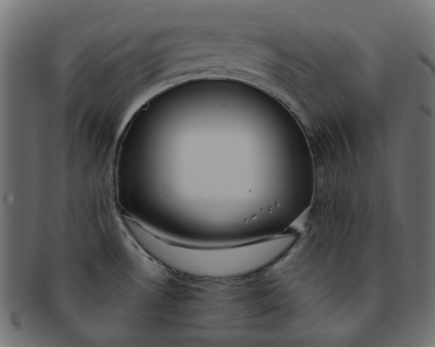 X0000091551530200709071204